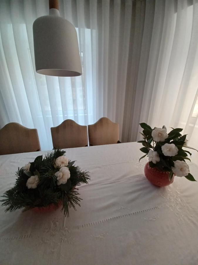 O 21 Da Holiday home Seia